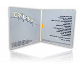 CD kopiert und bedruckt mit 4-seitiger CD-Kartonstecktasche
